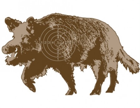 Jaktfelt Skive Villsvin