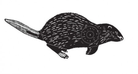 Jaktfelt Skive Bever