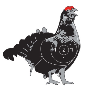 Jaktfelt Skive Orrhane