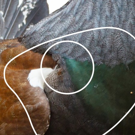 Skifteblink m/lim Tiur