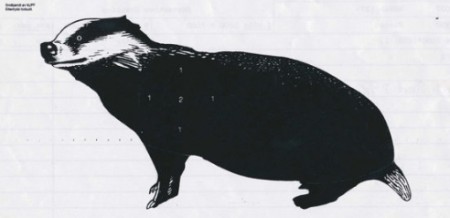 Jaktfelt Skive Grevling