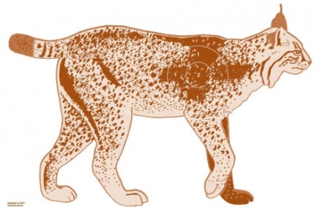 Jaktfelt Skive Gaupe