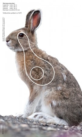 Hare - Jaktfeltskive 