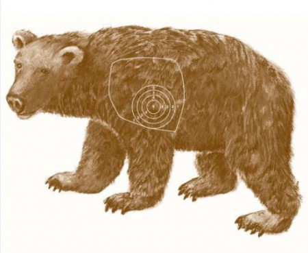Jaktfelt Skive Bjørn