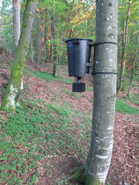 Montert opp i bøkeskogen