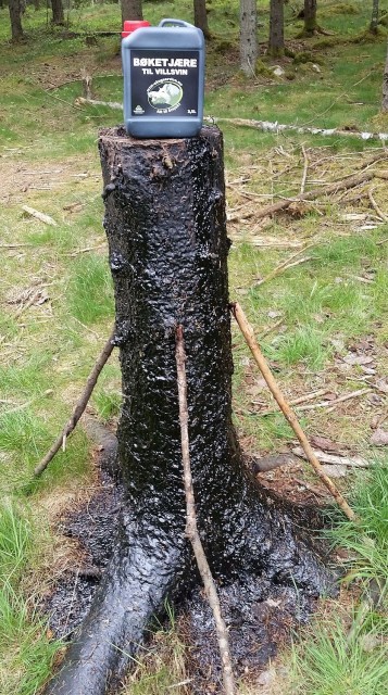 TIPS: SETT FIRE PINNER INNTIL TREET FOR Å SE OM VILTET HAR SKUBBET SEG